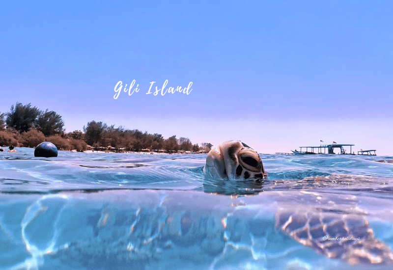 Gili Islands Bali Snorkeling
