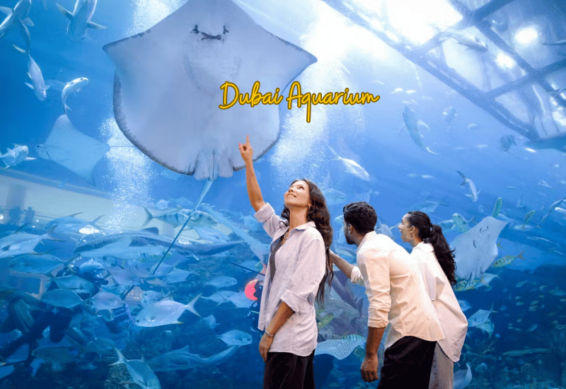 Dubai Aquarium & Underwater Zoo