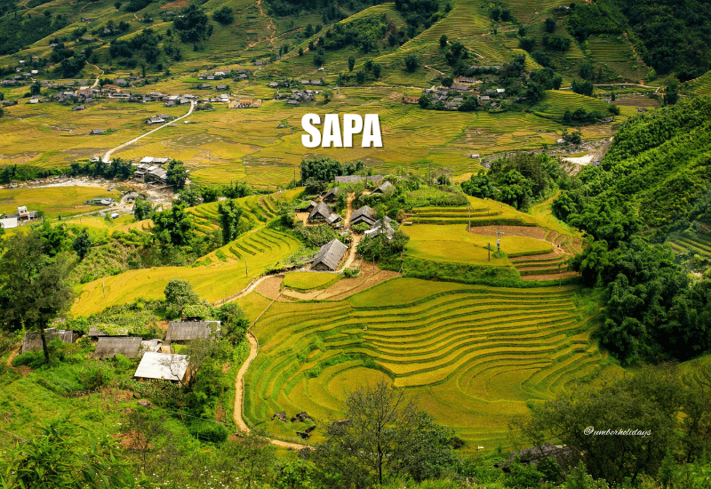 Sapa Rice Terraces Vietnam