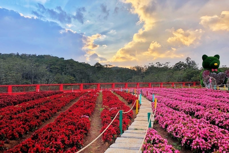 Vietnam Classic Tour Package